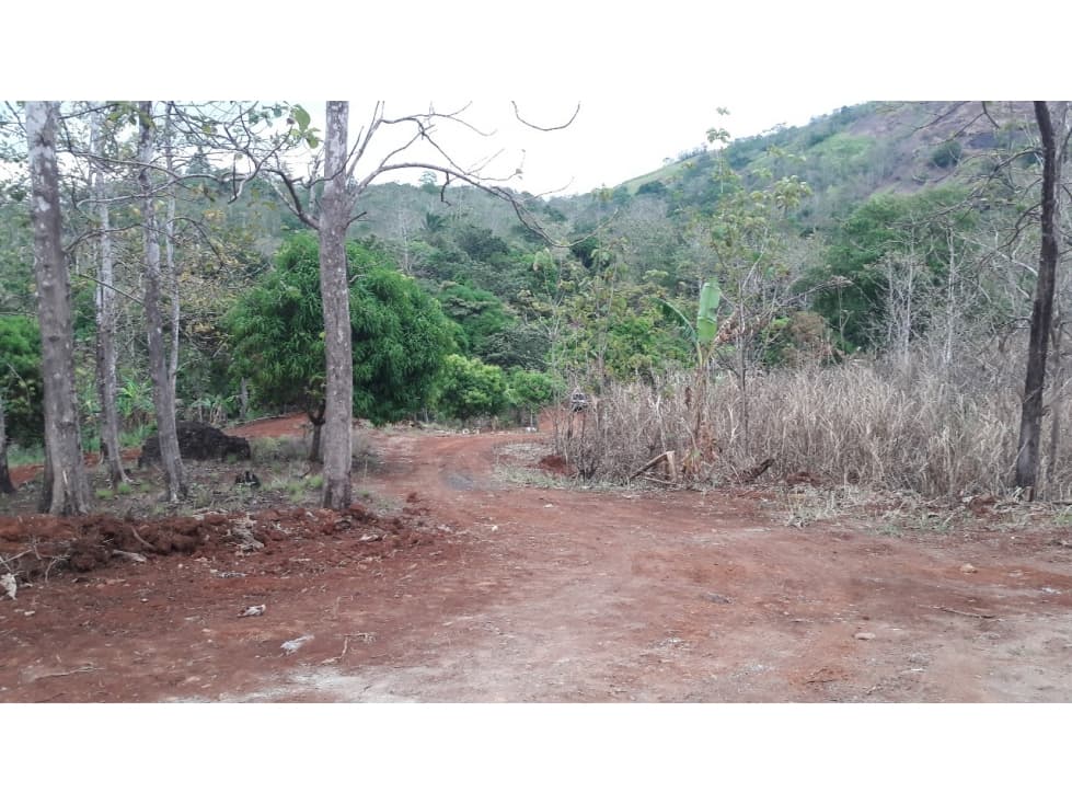 LAS CUMBRES / VILLA GRECIA / 12 HECT. / IDEAL PARA ENVASADORA DE AGUA - 1