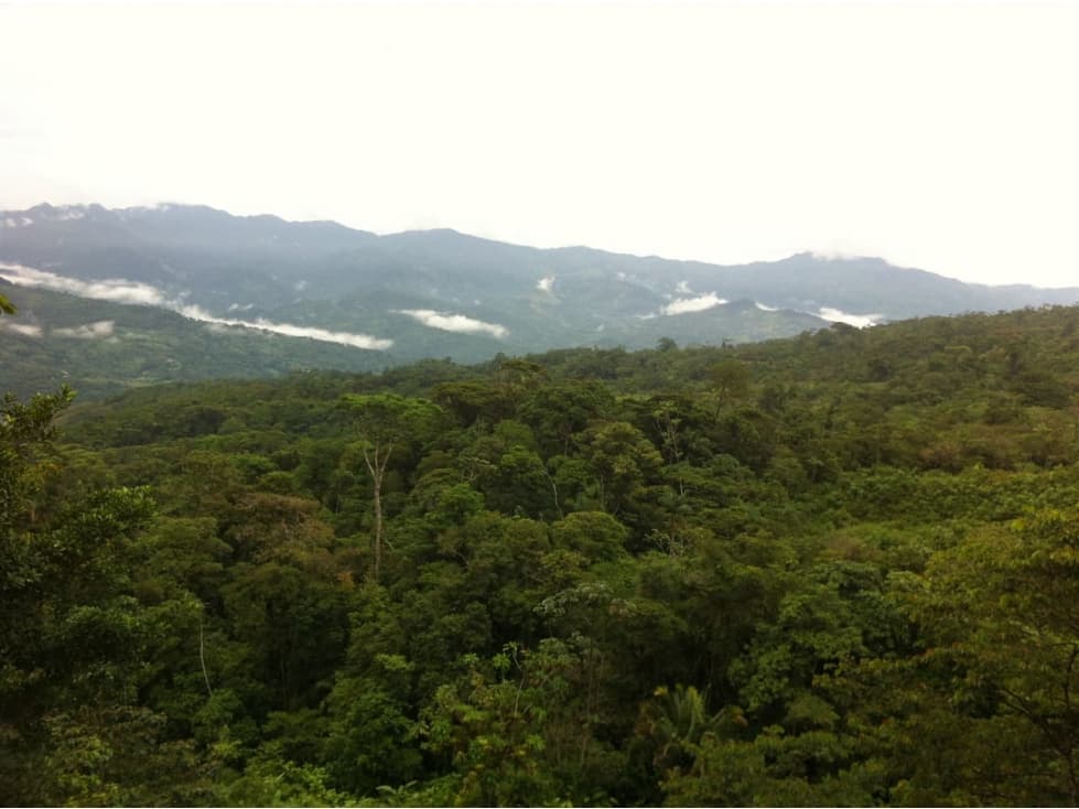 VERAGUAS / SANTA FE / 4300M / TERRENO / VISTA A LA MONTAÑA AG - 1