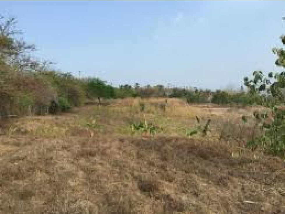 Vendo terreno con vistas al Parque Omar 2260 JD - 1