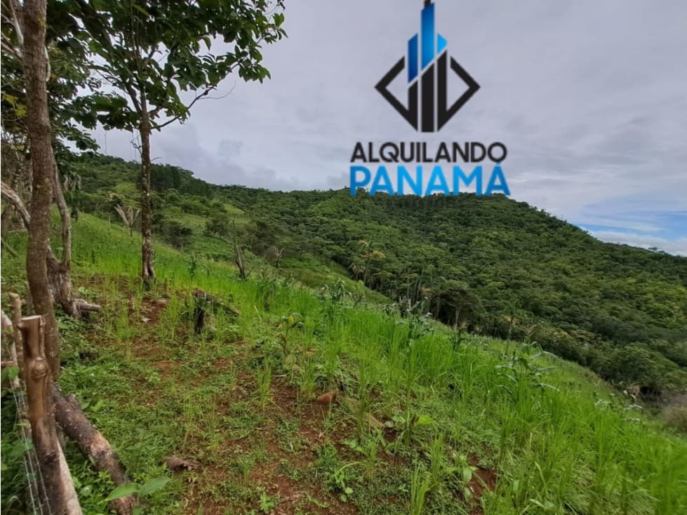 Se Vende Finca Ganadera 33 Ha Herrera Chepo USD255000 - 1