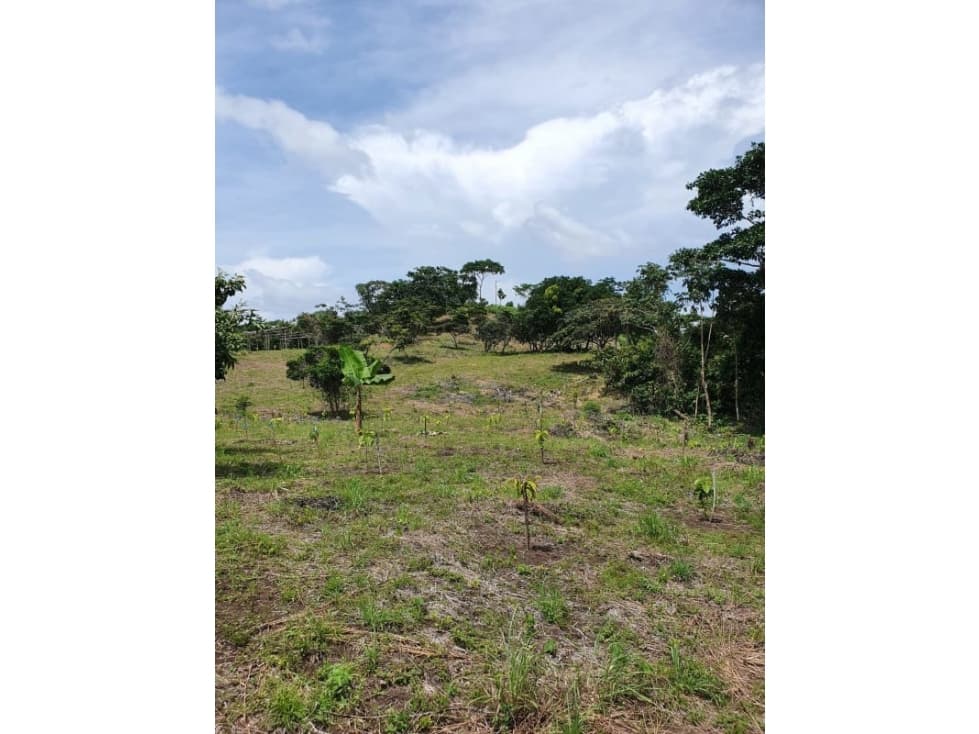 Se Vende Finca 14.5 Ha La Chorrera Iturralde $660.000.00 - 1