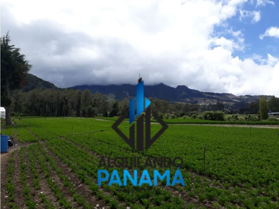 Se Vende Finca Agrícola 32.315 Mts Chiriquí Montañas $1.000.000.00 - 1