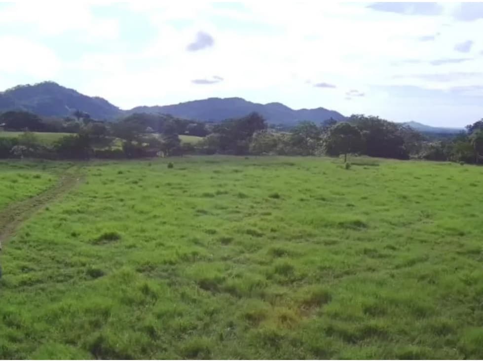 Se Vende Finca Ganadera 73 Ha Chiriquí las lajas a USD$10,000,oo Ha - 1