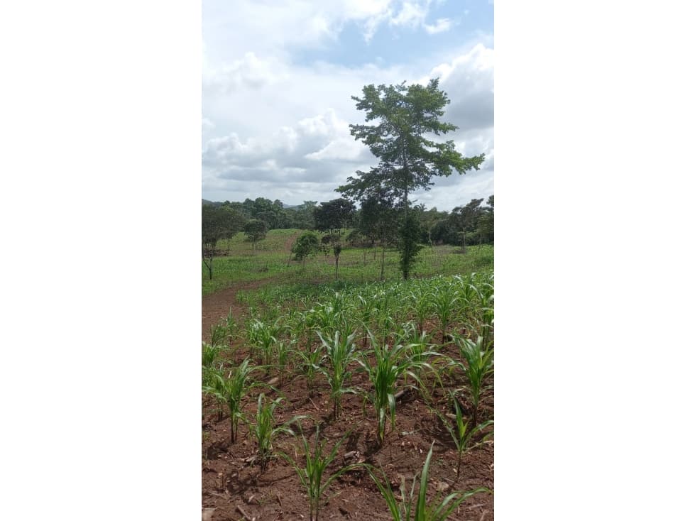 Se Vende hermoso Terreno en la Chorrera, Santa Rita - 1