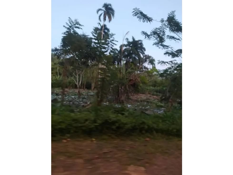VENDO TERRENO EN PANAMA OESTE - 1