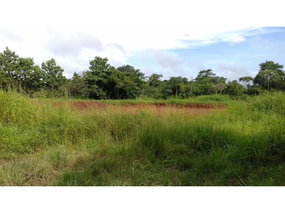 Se Vende Terreno en Pacora - 1