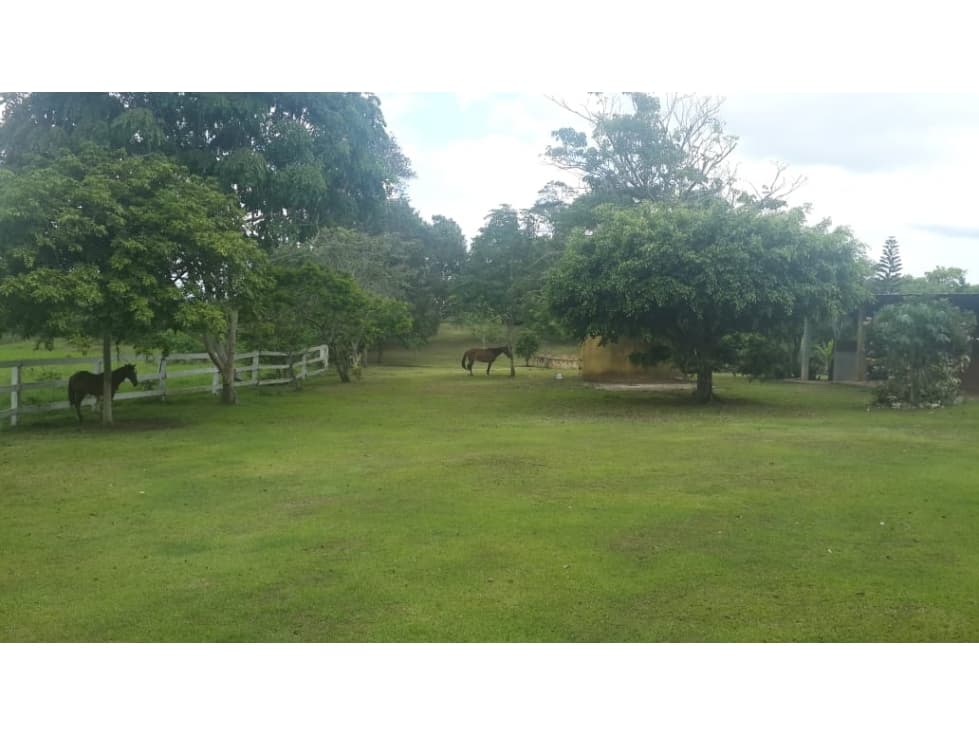 VENDO FINCA DE 18 HECTAREAS EN CERRO CAMA - PANAMA OESTE!!! - 1