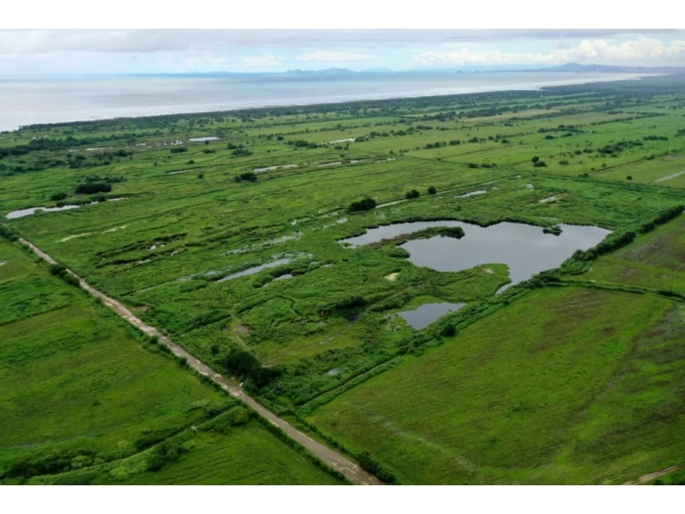 Se Vende Finca 75 Ha. $3.000.000.oo. En Pacora. Agroindustria con Lago - 1