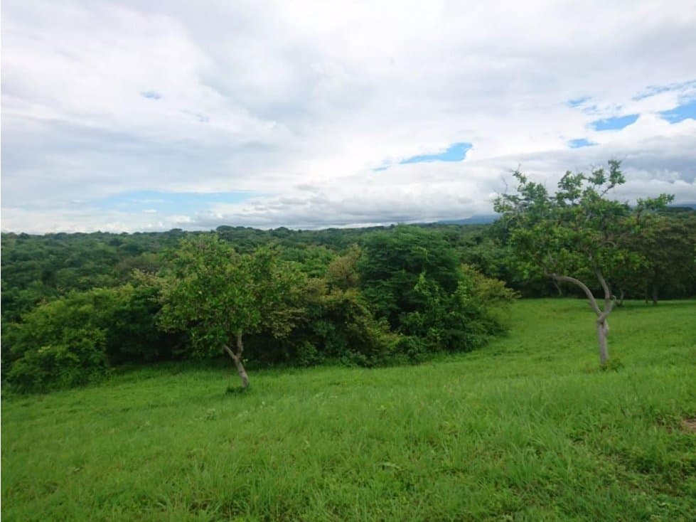 Se vende terreno en Punta Barco - 1