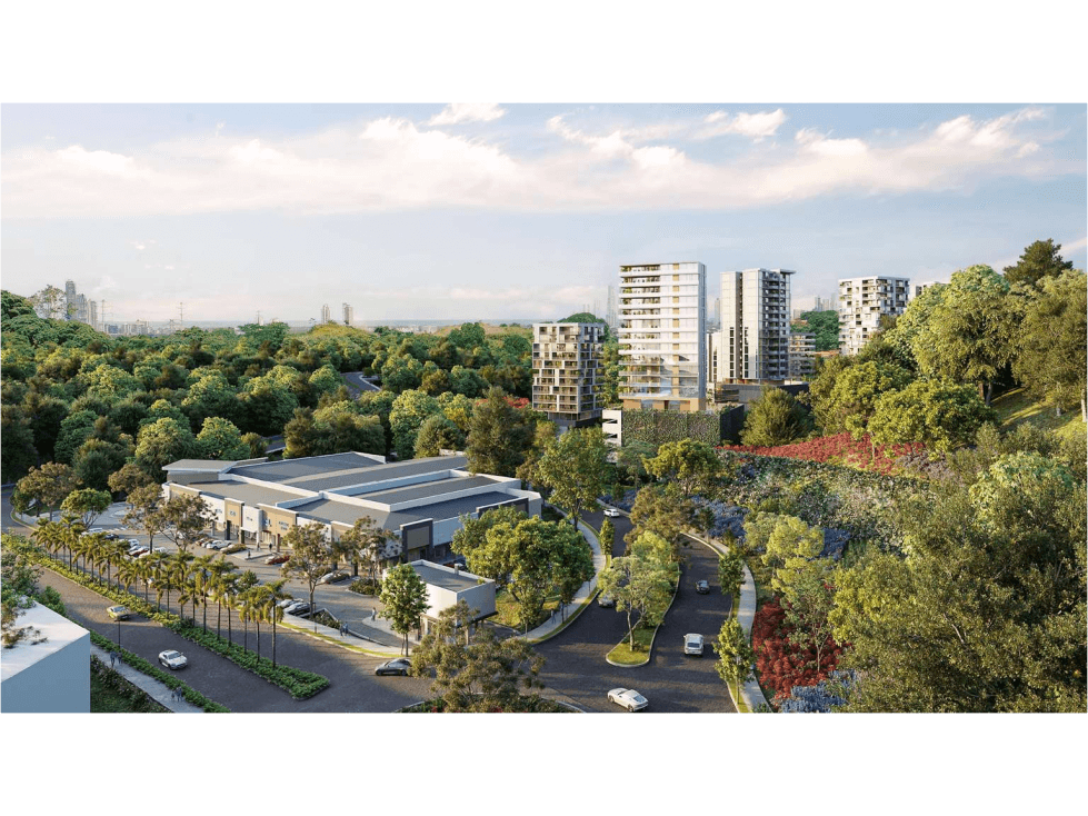 Brisas Capital - 1