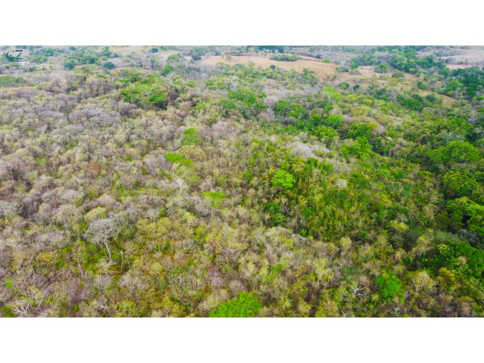 Venta de finca en El Higo de Santiago de Veraguas. - 1