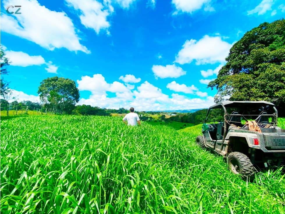 Venta de Finca Alto de Monte Lirio Tierras Altas Chiriqui - 1