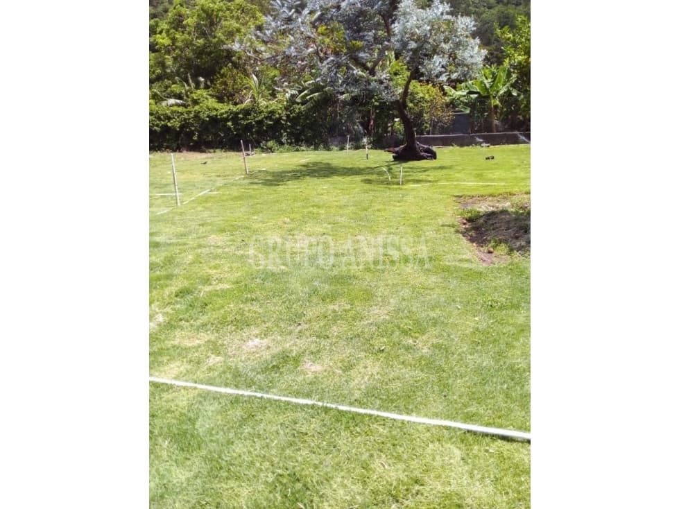 Oportunidad! Se Vende Terreno plano en Boquete - 1