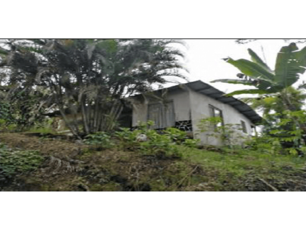 TERRENO DE 2.752M2 CON CASA EN CAÑAS GORDAS CHIRIQUI - 1