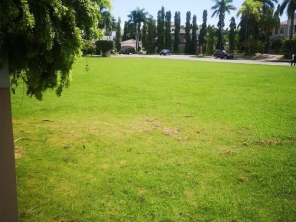 VENDO TERRENO EN MAGNOLIAS, COSTA DEL ESTE - 1