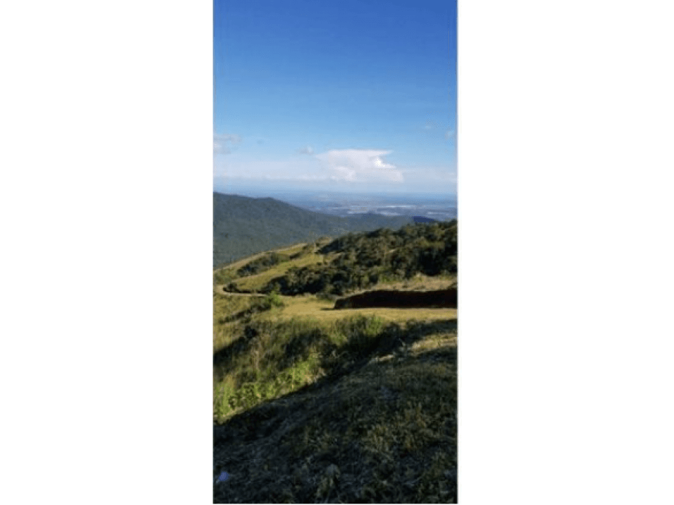TERRERNO 10 HECTAREAS (5XM2), EL LAGO DE CERO AZUL - 1