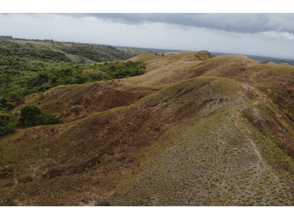 FINCA EN VENTA 4594M2 PANAMA OESTE - 1
