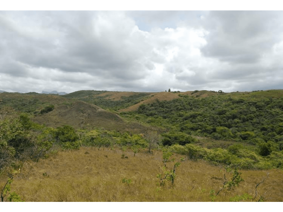 FINCA EN VENTA 313M2 PANAMA OESTE - 1