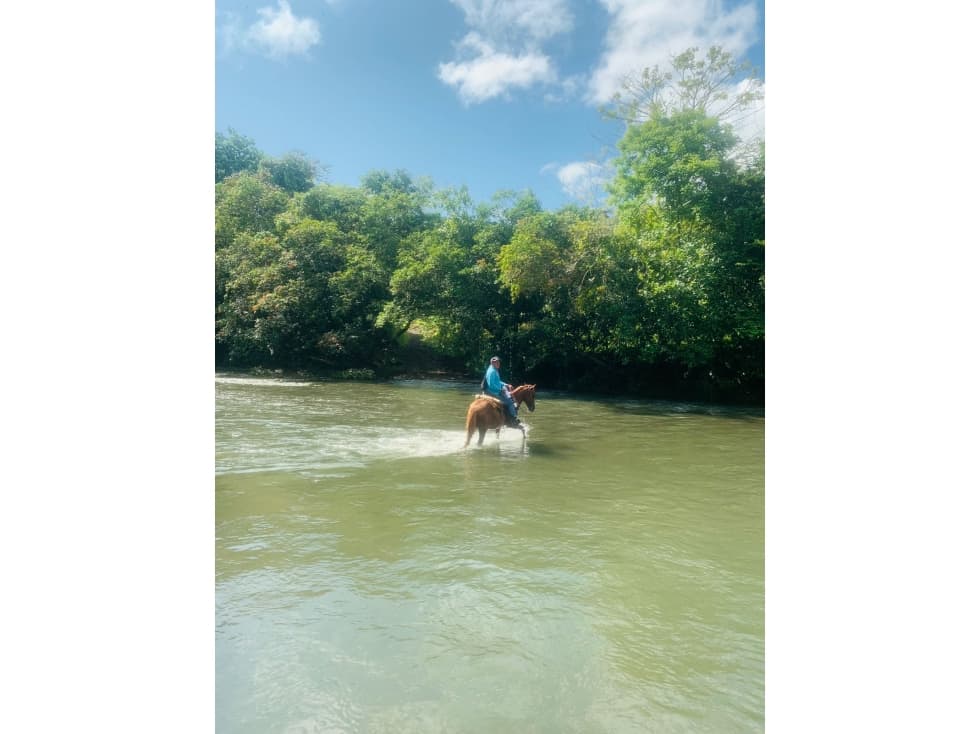 VENDO 900 HECTAREAS EN EL SUR DE SONÁ DE VERAGUAS - 1
