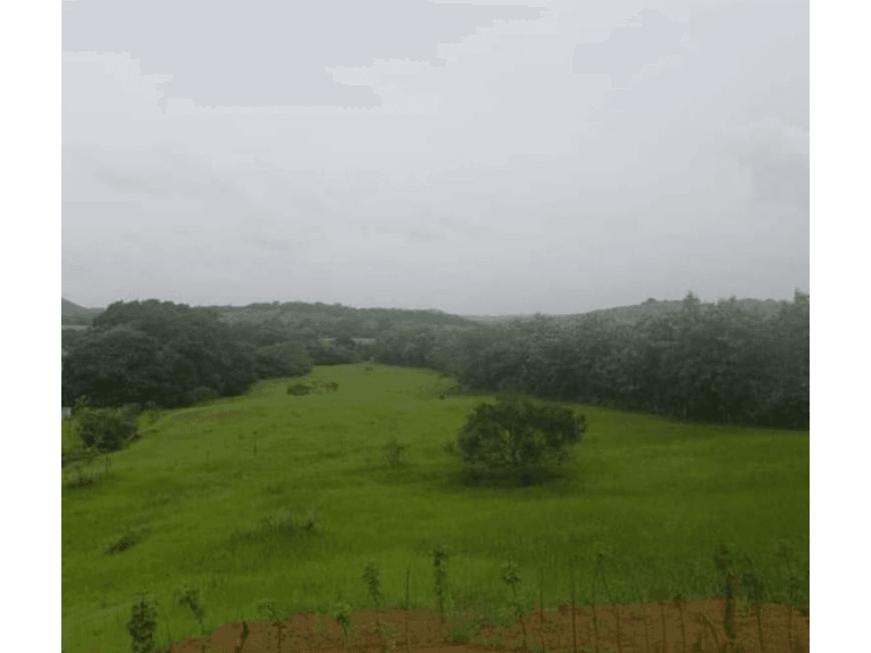 VENDO 1110 HECTAREAS EN VERAGUAS, OPORTUNIDAD ÚNICA - 1