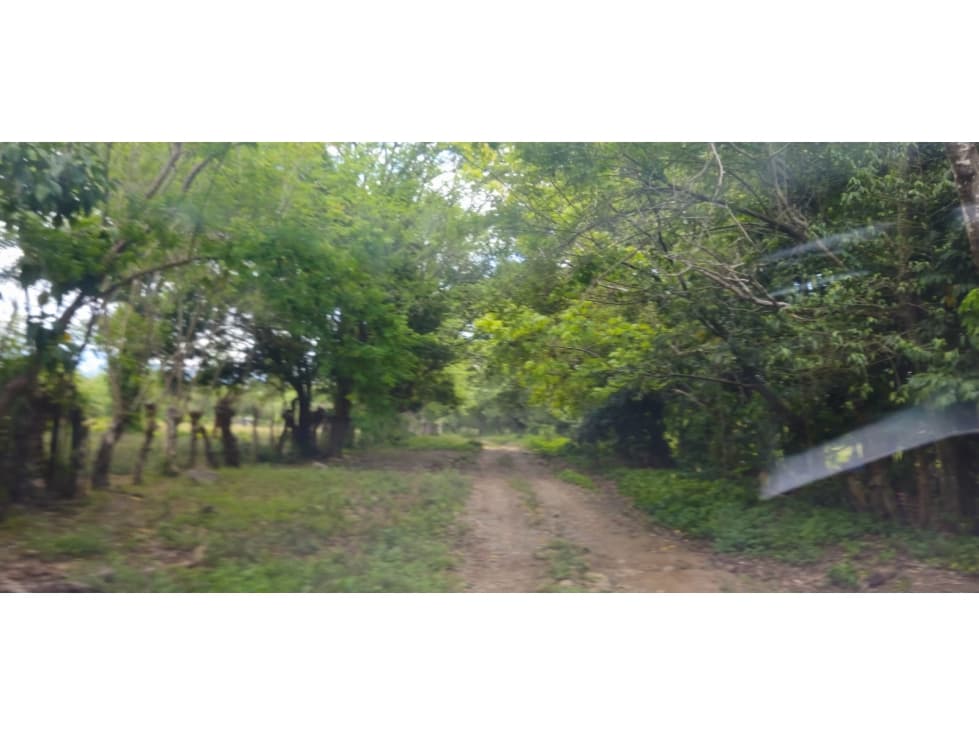 VENDO FINCA DE 2 HAS EN HIGO - 1