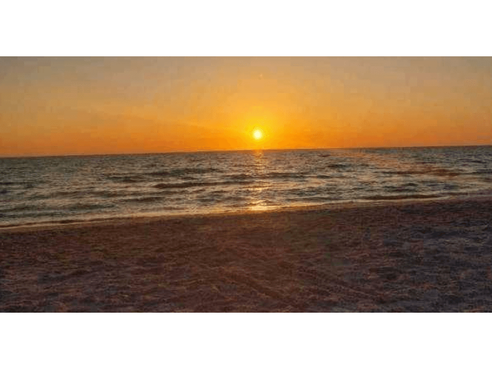 FOR RENT APARTMENT APARTMENTS IN EL PALMAR RESIDENCES SAN CARLOS - 1