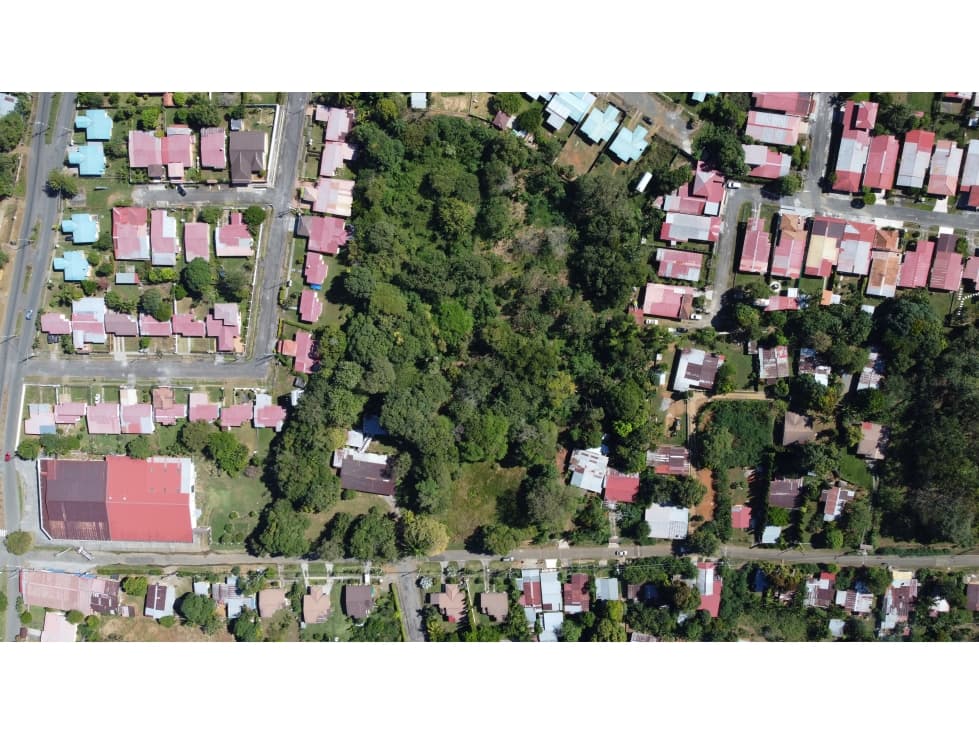VENDO UNA HECTAREA + 9500 MTS ALGARROBOS - 1