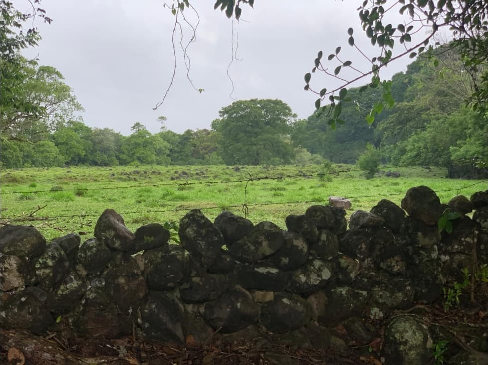 Vendo Finca en Tinajas de Dolega - 1