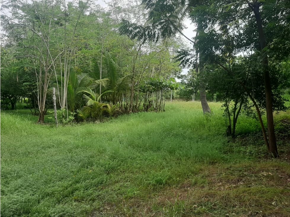 VENTA DE TERRENO EN LA PLAYA EL ROMPIO - 1