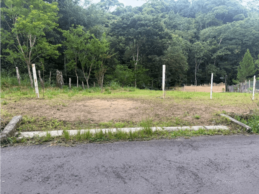 Venta Lote en Potrerillo Arriba - 1