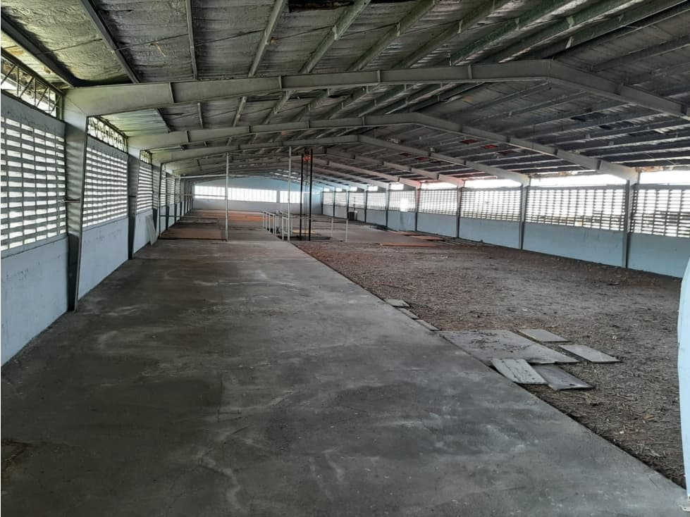 VENTA GALERA EN CALLE14 RIO ABAJO EV - 1