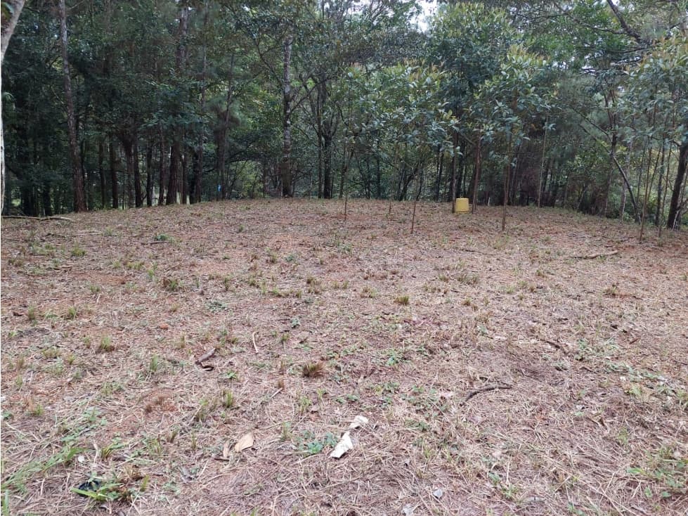 SE VENDE TERRENO DE 1,917 M2 EN EL VALLE DE CERRO AZUL - 1