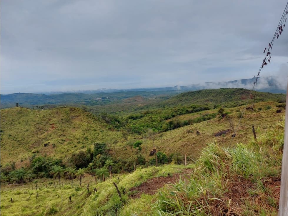 VENTA DE TERRENO DE 60 HECTARIAS EN VERAGUAS - 1