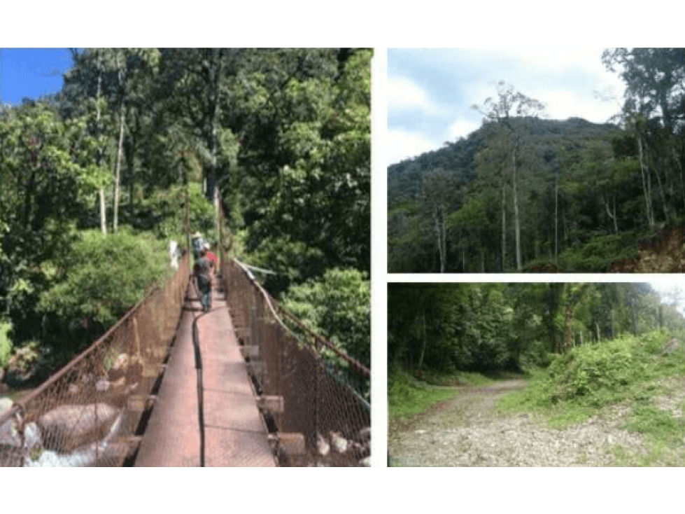 VENTA DE TERRENO EN BAJO MONO BOQUETE - 1