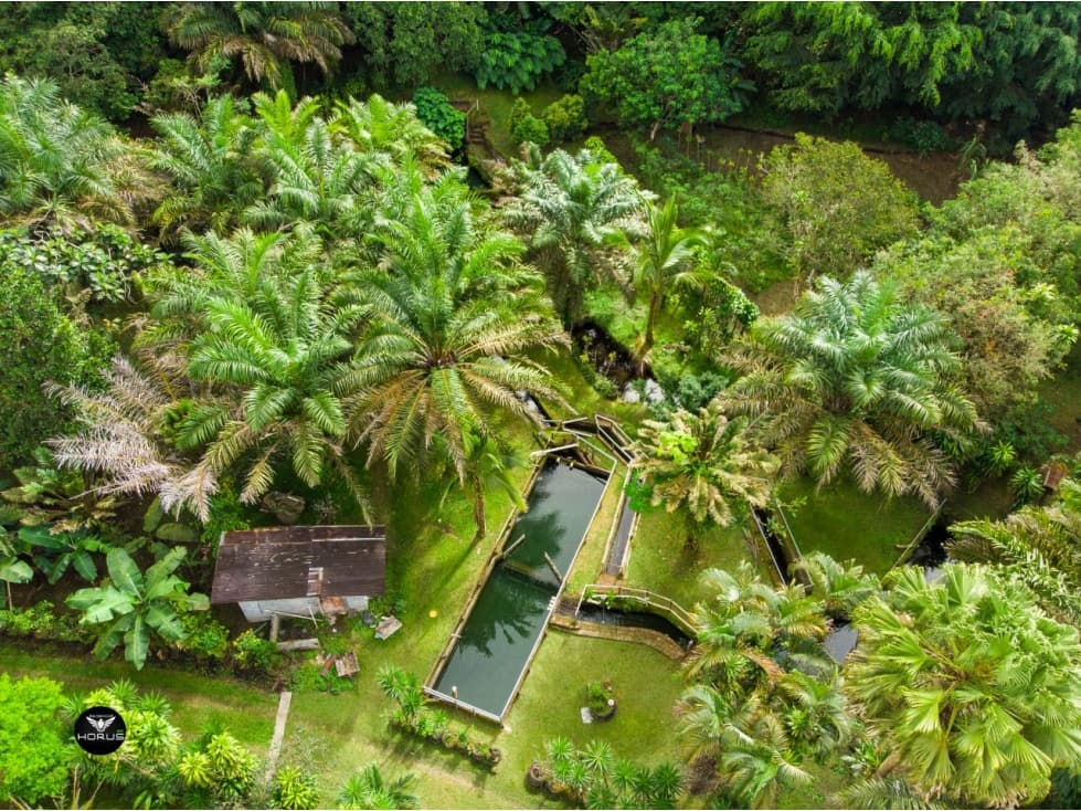 Vendo Linda finca en Cuesta de Piedra Volcan Chiriqui - 1
