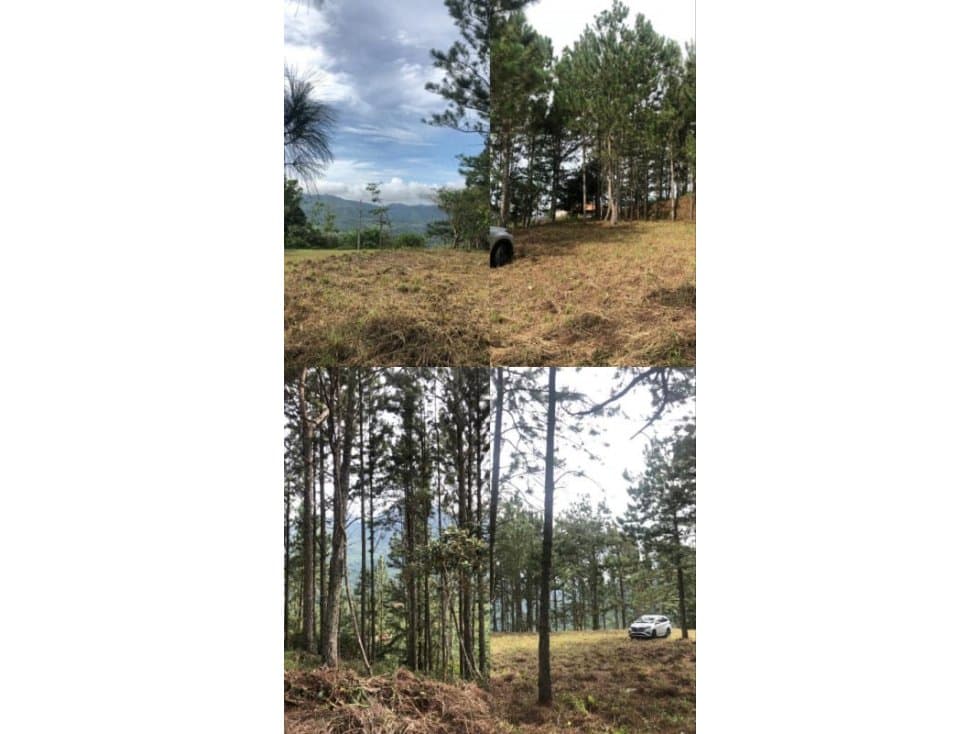 SE VENDE TERRENO EN ALTOS DEL MARIA MIRADOR DEL PACIFICO - 1