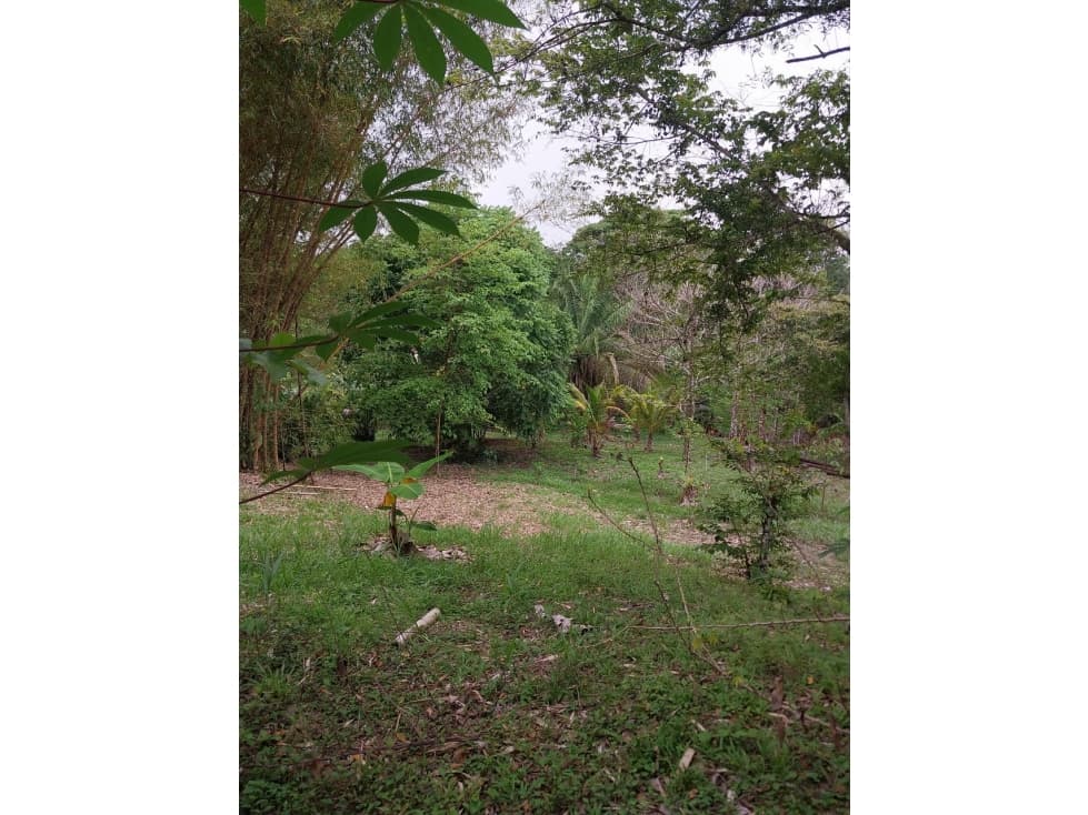 VENTA GRAN TERRENO COLÓN 8,700M2 VILLA AQUILINA CV - 1