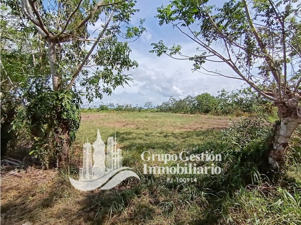 Venta Finca en Querevalo - 1