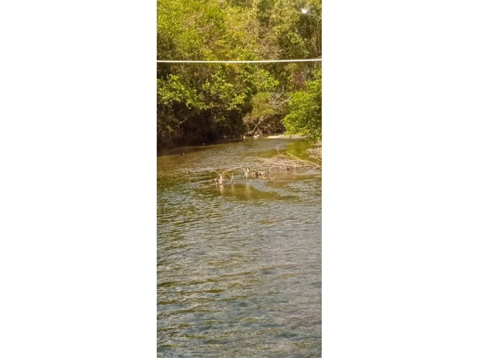 VENDO 1080 HECTAREAS EN TONOSÍ CON VISTA AL MAR - 1