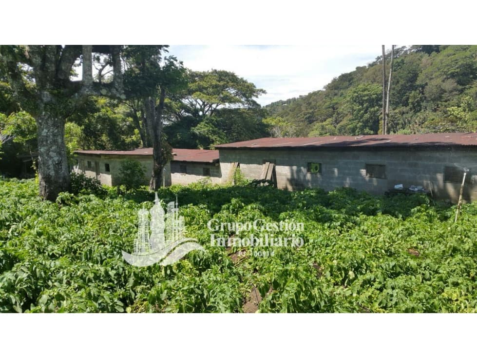 Vendo Finca en Boquete ideal para Cafe o Turismo - 1