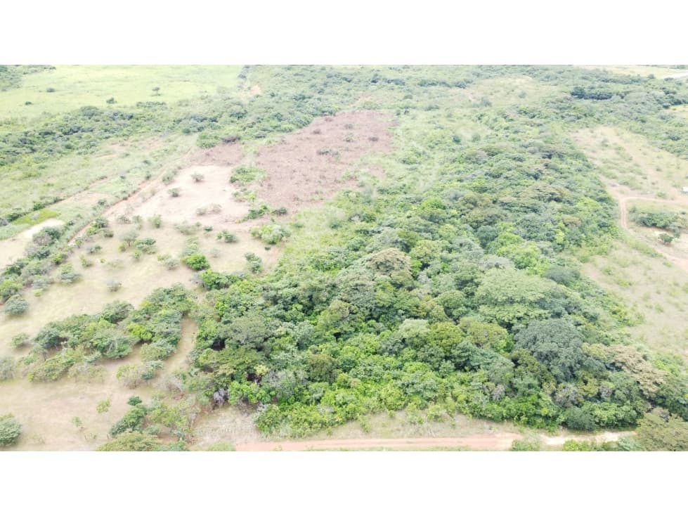 Se VENDE Finca en Llano Apóstol, Río Grande, Coclé - 1