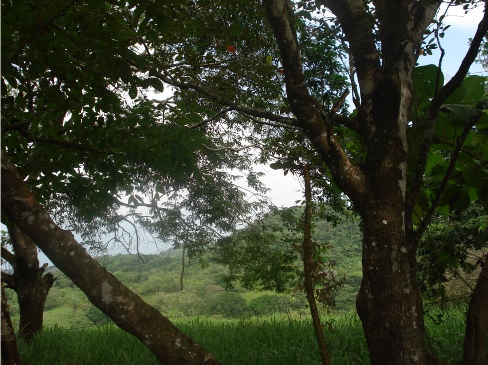 Venta de finca en Capira GTA - 1