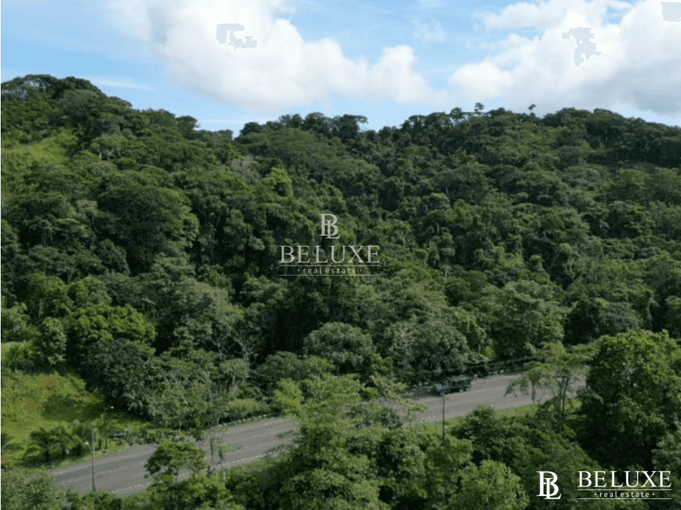 VENDO TERRENO EN COLÓN, OPORTUNIDAD DE INVERSIÓN (16) - 1