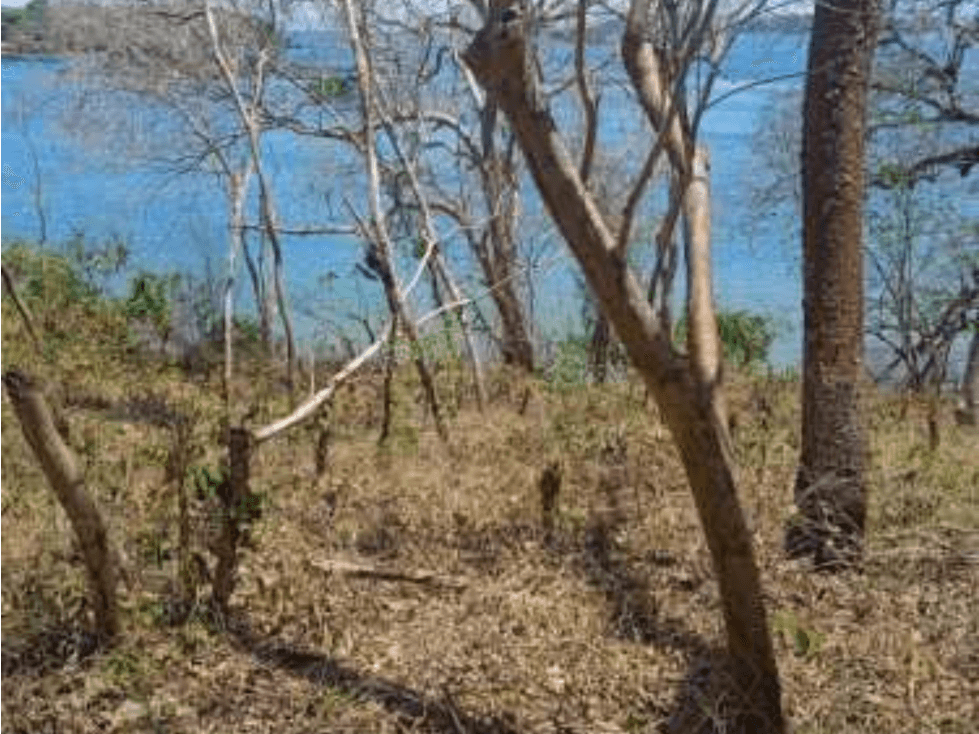 VENTA DE TERRENO CON VISTA AL MAR EN SABOGA, LAS PERLAS (6) - 1
