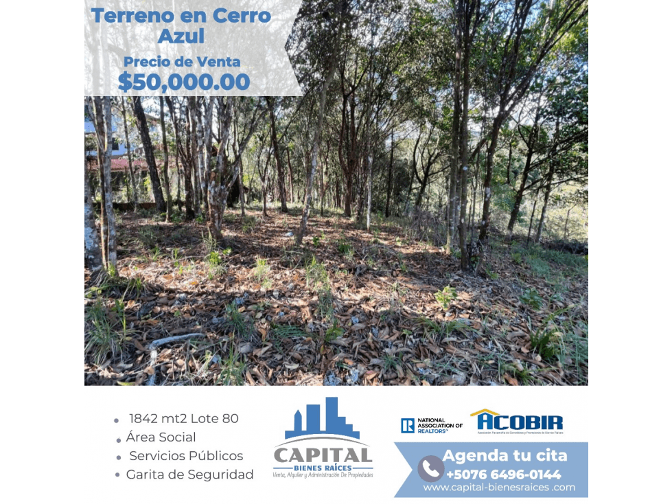 TERRENO EN CERRO AZUL - 1