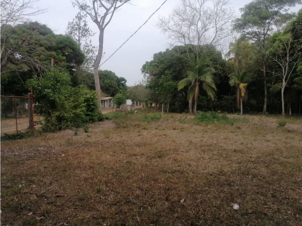 TERRENO EN RIO HATO - LOS POLLOS - 1