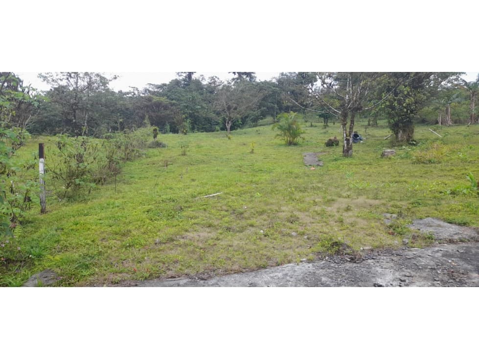 VENDO TERRENO UN LUGAR DONDE PUEDES DESCONECTAR - 1