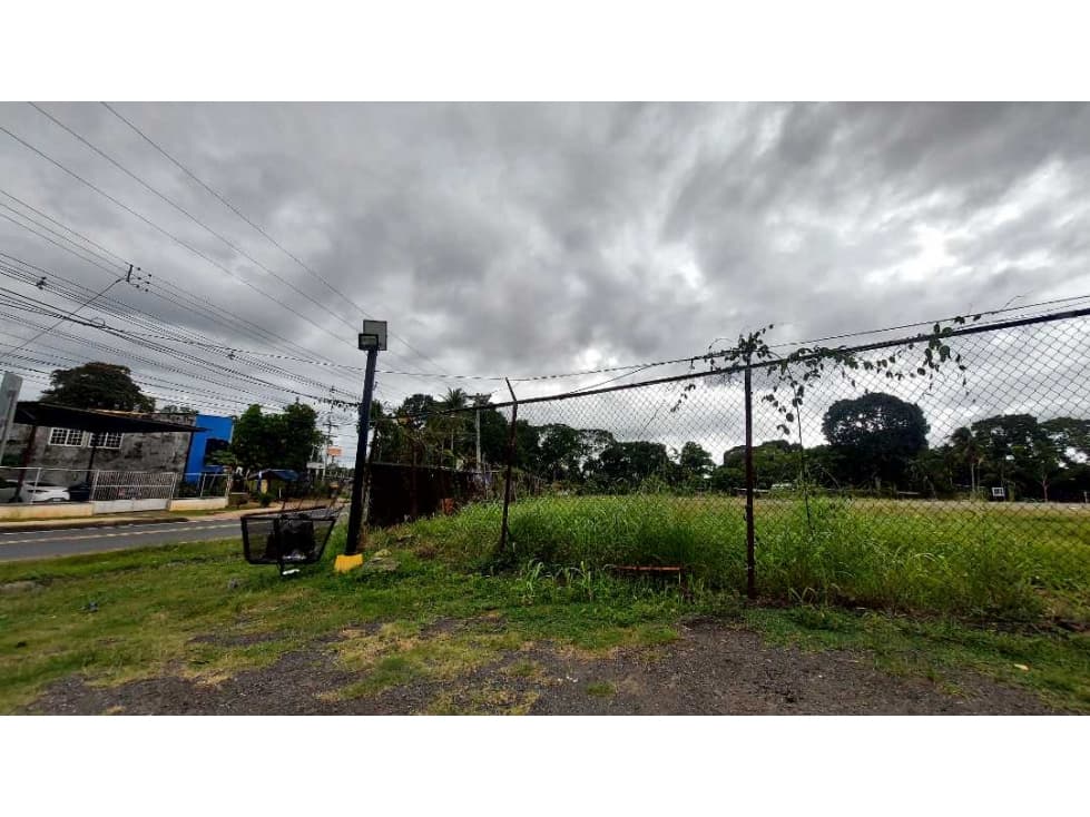 SE ALQUILA O SE VENDE TERRENO EN PEDREGAL - 1