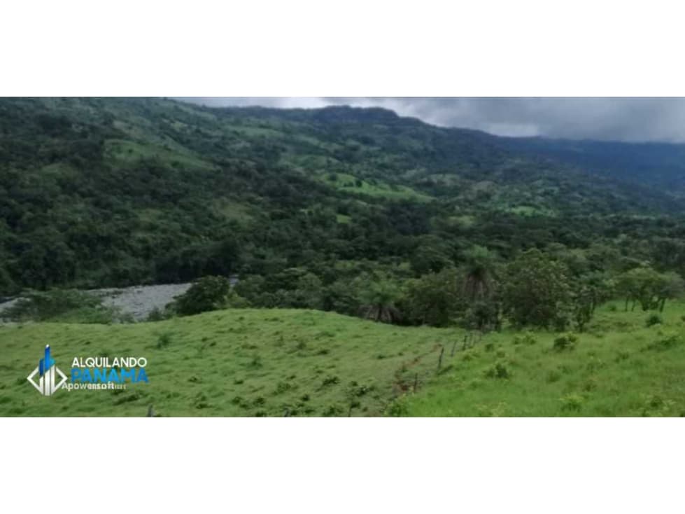 Atención agro inversionista! Vendo preciosa finca de 28 ha en Gualaca - 1