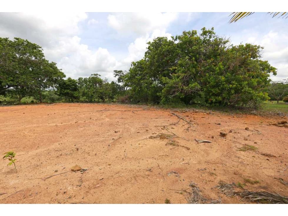 En venta Lote Campestre en Palmas de Capira, Villa Rosario - 1